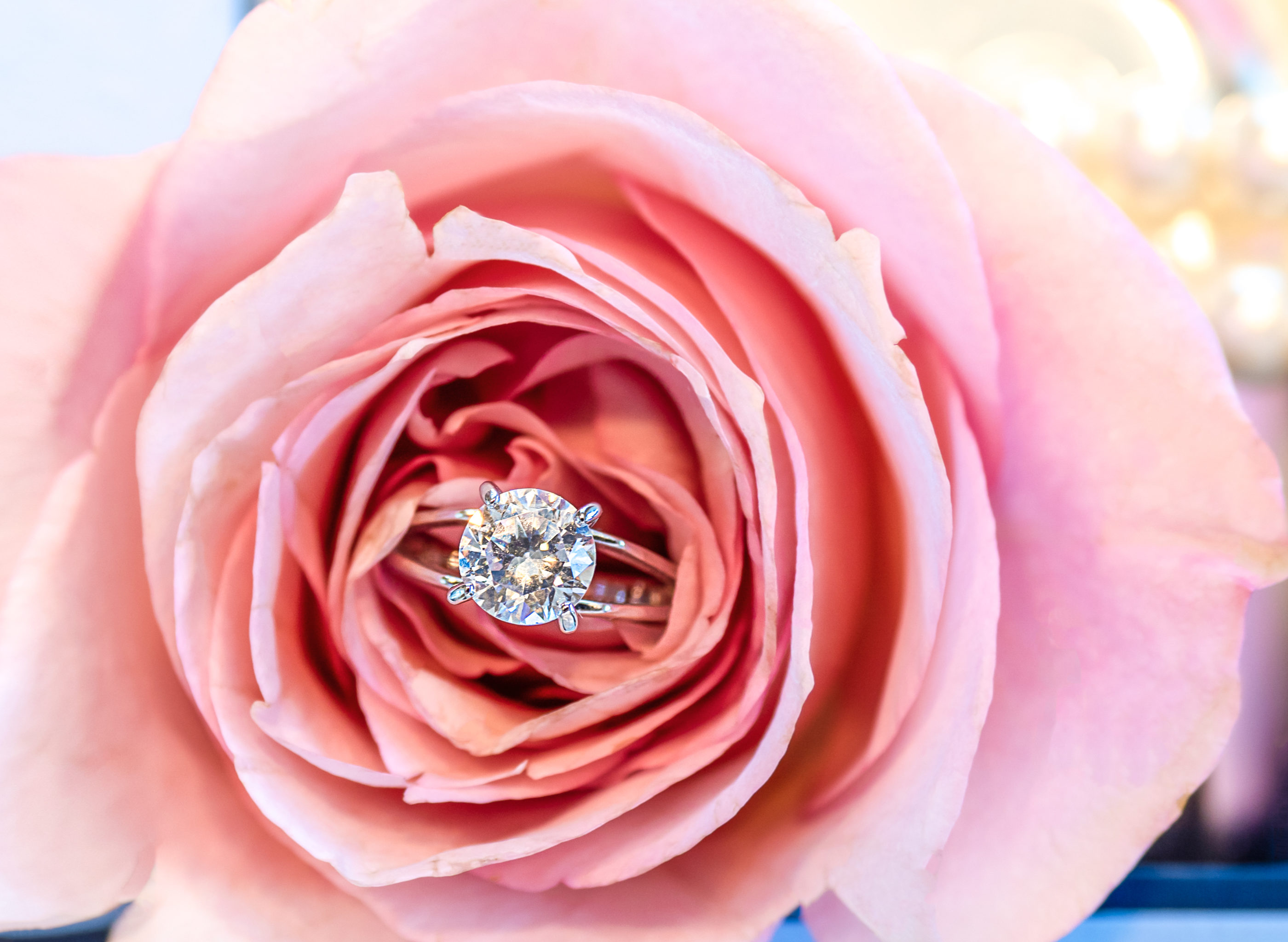 pink rose with large diamond engagement ring in center